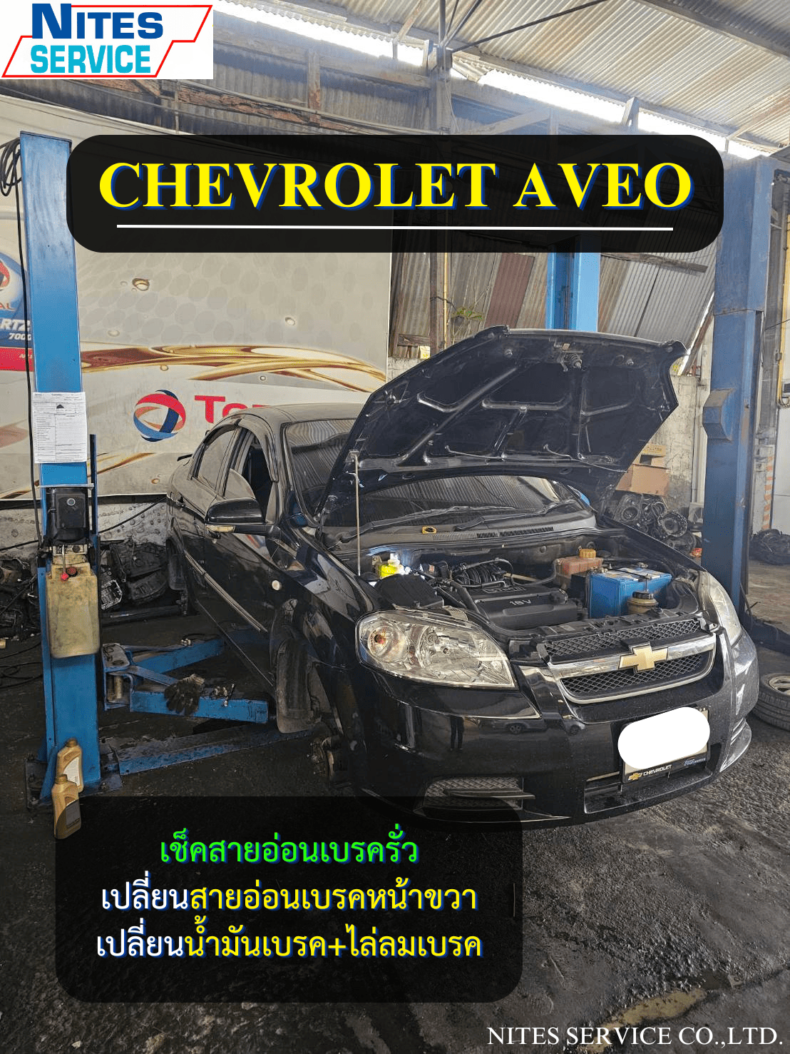 AVEO10