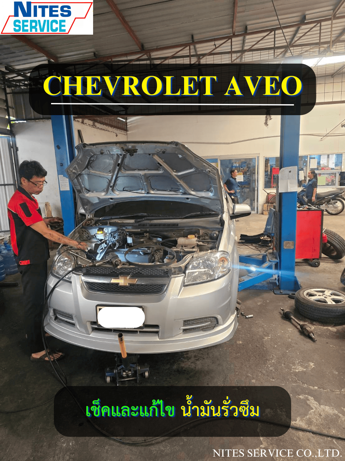 AVEO11