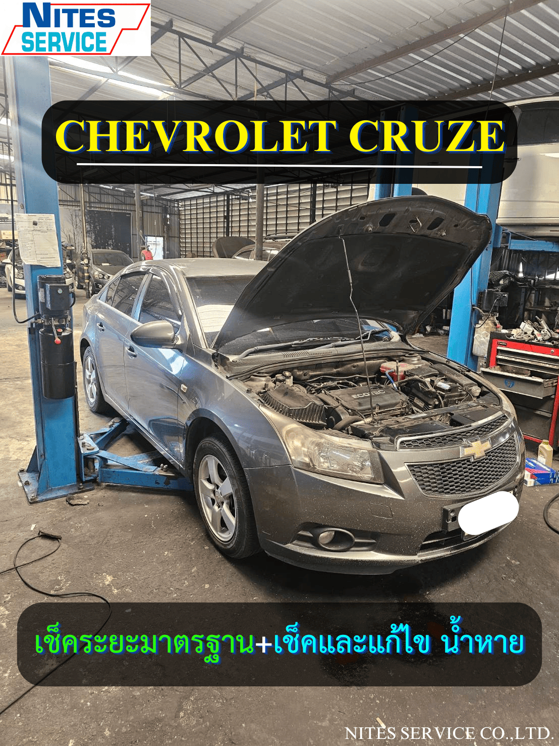 CRUZE29