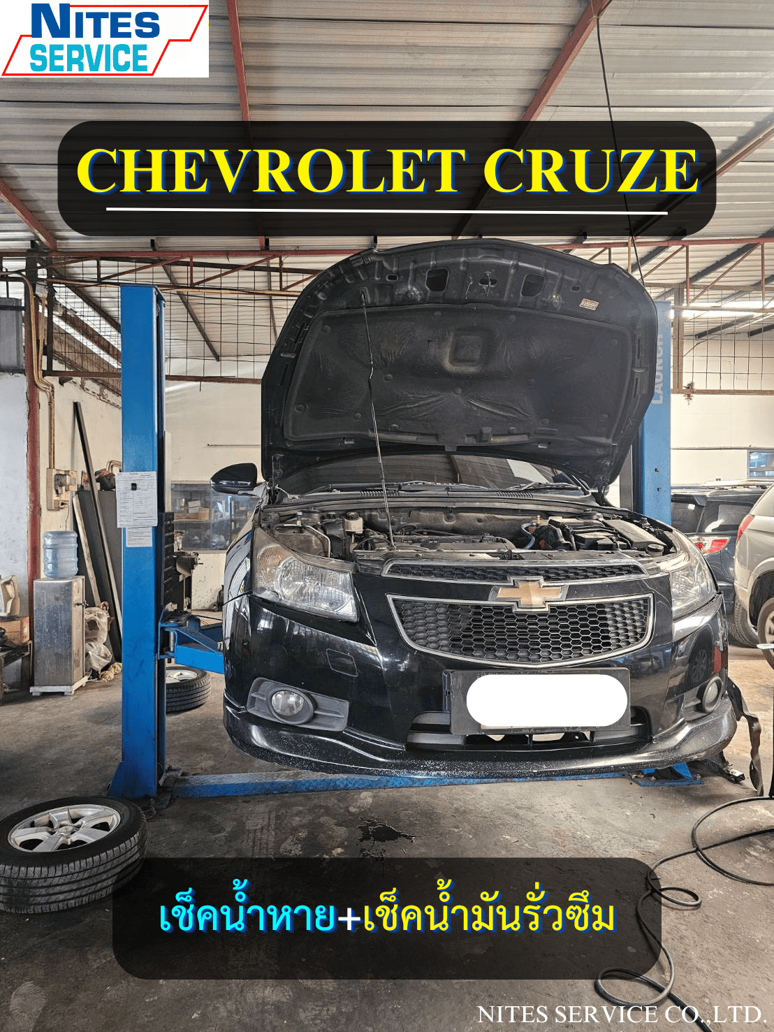 CRUZE41