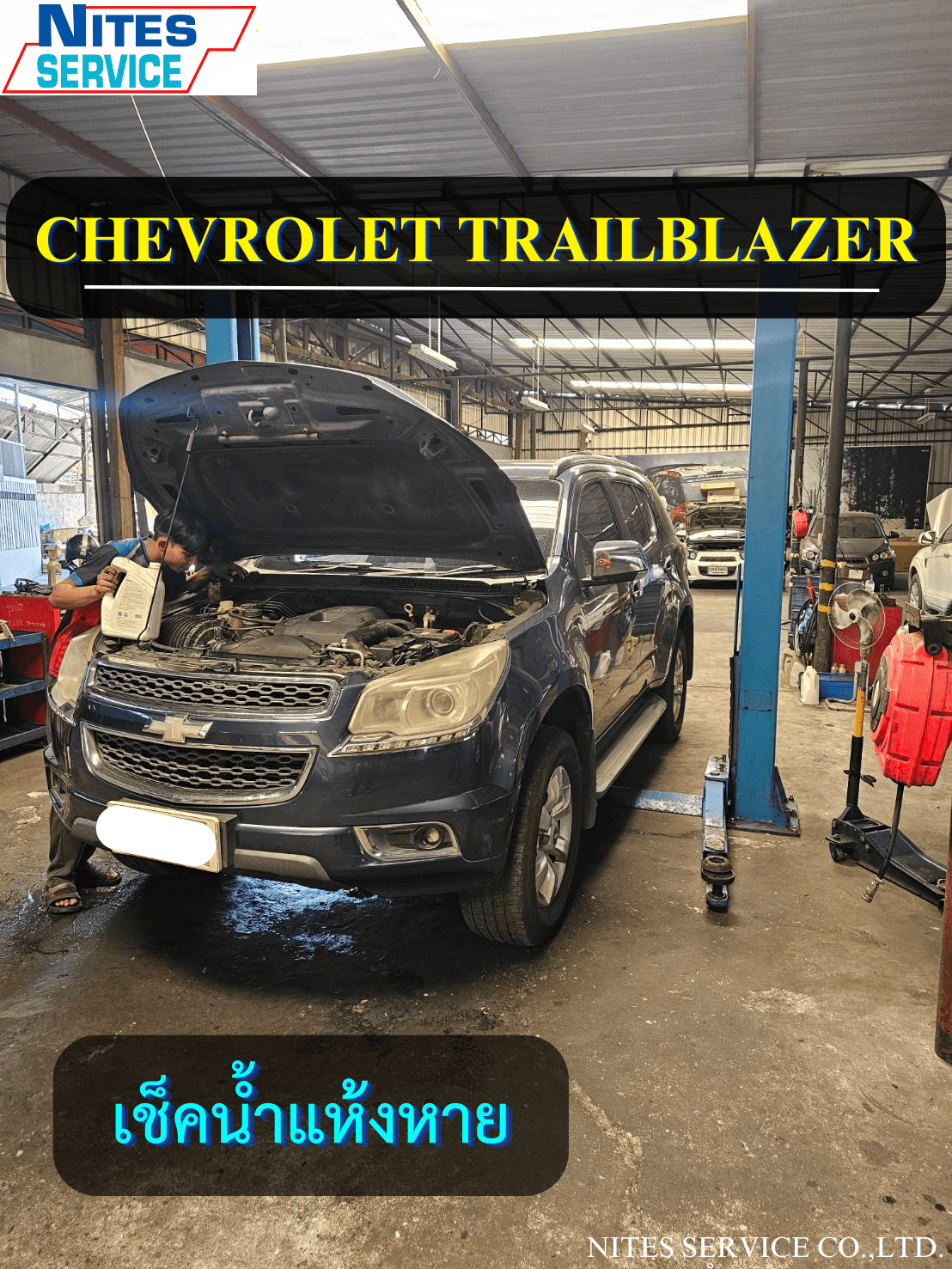 TRAILBLAZER31